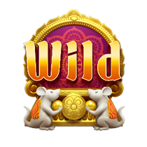สัญลักษณ์ wild