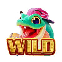 สัญลักษณ์ wild