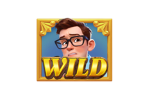 สัญลักษณ์ Wild -Museum Mystery-pg