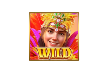 สัญลักษณ์Wild-ริโอ้