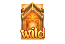 สัญลักษณ์wild-ตลาดpg