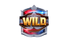 สัญลักษณ์พิเศษ Wild -muay thai champion-pg